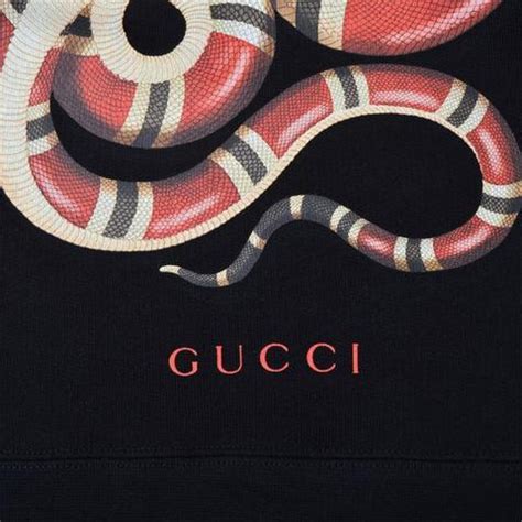 gucci pet snake|gucci snake collection.